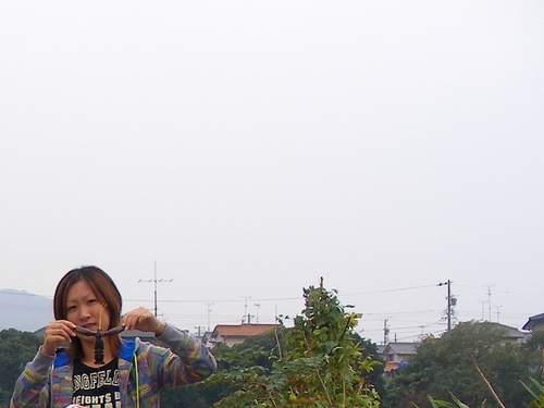 15fa5e326ff3396977ea3a4b95871253_500x375[1].jpg