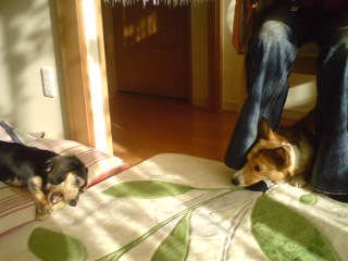 091218_1437~02_0001.jpg