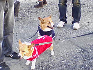 091103_1603~02_0001.jpg