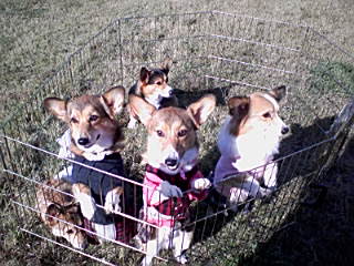 091103_1403~02_0001.jpg