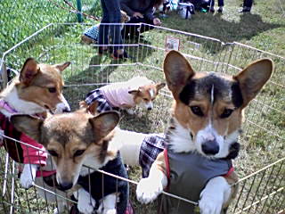 091103_1117~03_0001_0001.jpg