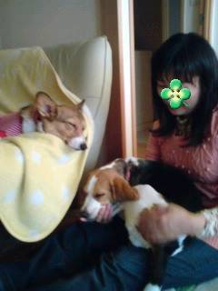 100206_1715~01_0001.jpg