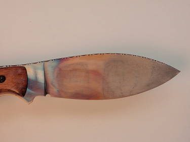 4981107_orig.jpg