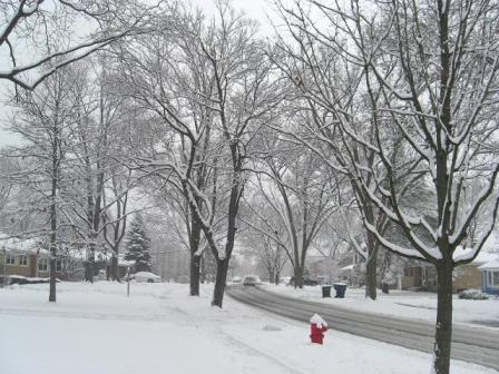 2010.Dec.4 初雪積り