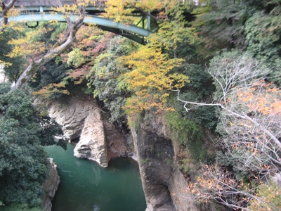 橋から見た桂川