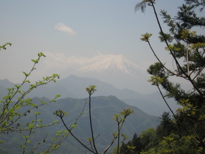 扇山からの富士