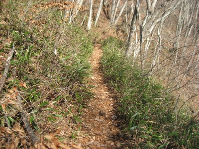 滝子登山道1