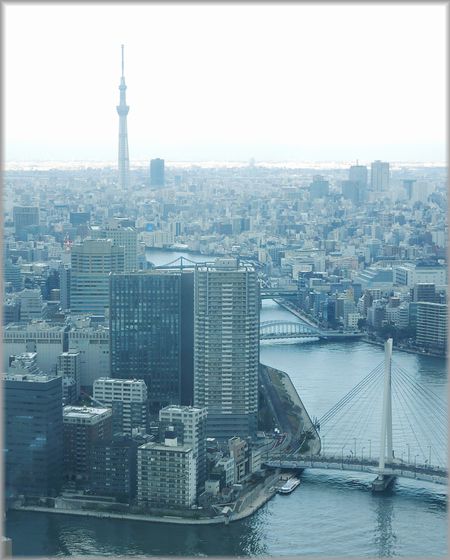 橋がたくさん見えます