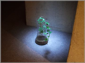 誰か私に気づいて