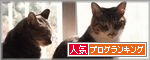 年が明けても猫はなんも変わらんのです
