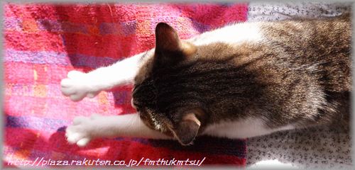 20120105くりグーパー２