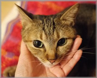 1216むぎの顔１