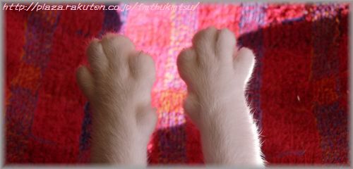 20120105くりグーパー４グ～