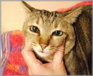 1216むぎの顔２