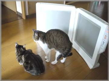 『0128くりむぎヒーター２』