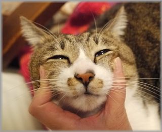 1216くりの顔２