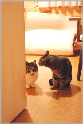 0928くりむぎ２