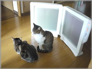 『0128くりむぎヒーター３』