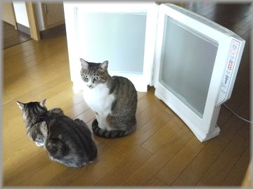 『0128くりむぎヒーター４』