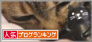 姫と一緒にお昼寝