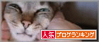 アビシニアン　とか　シンガプーラ　とか
