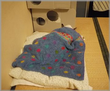 1220むぎ掛け布団１
