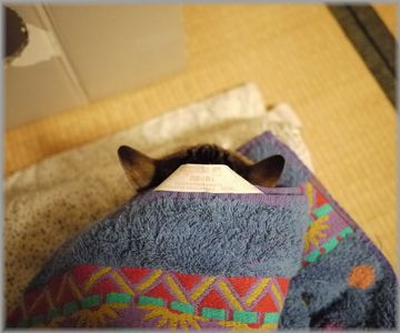 1220むぎ掛け布団２