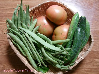フレッシュ野菜