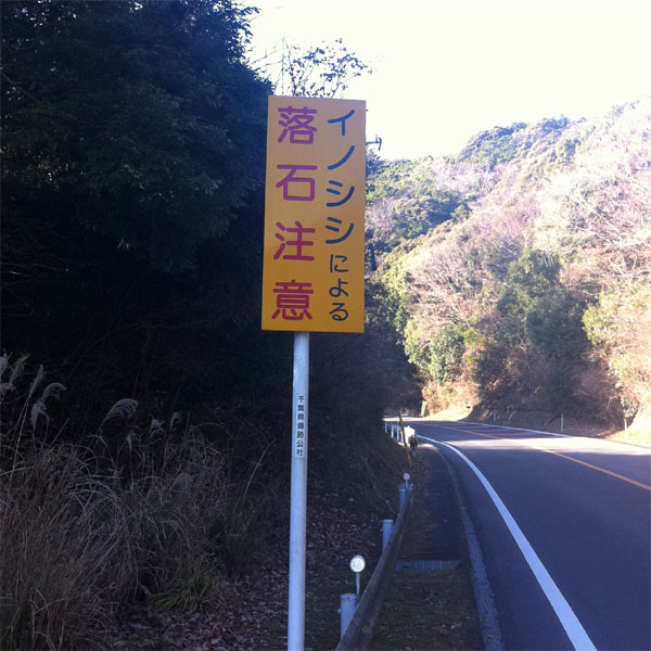 注意