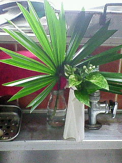 NEC_0412.jpg