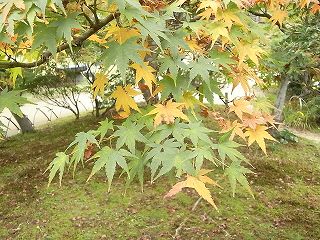 030.jpg