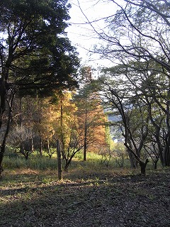 021.jpg