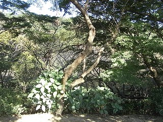 030.jpg