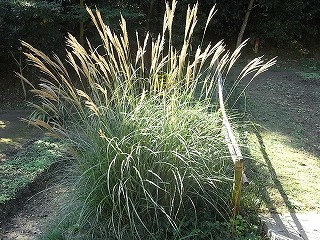 033.jpg