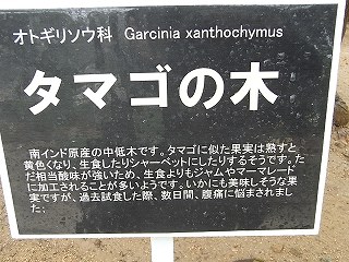 061.jpg
