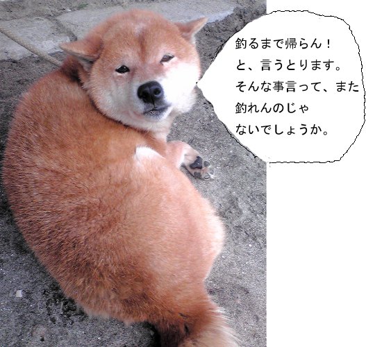 oyabin2.jpg