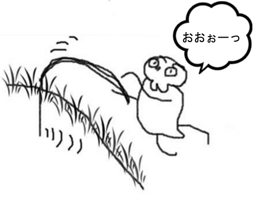fmanga3.jpg
