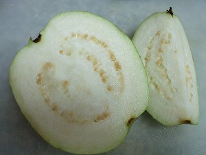 guava2