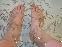 fishspa2