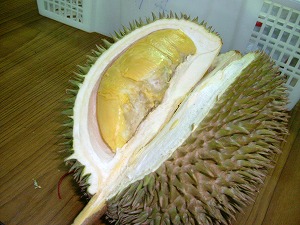 durian4