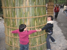 3月28日伊勢神宮2