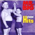 Greatest Hits Mr. Big 2004
