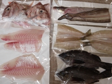 瀬戸内たいたいＣＬＵＢ　１