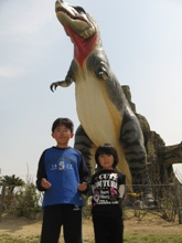 5月5日 笠岡カブトガニ博物館など2