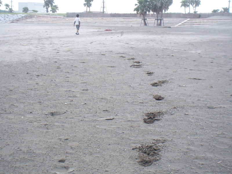 いつかきたみち