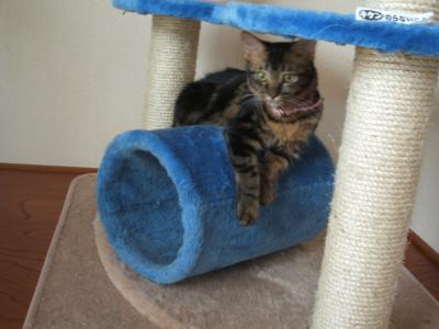 DSCF3792.jpg