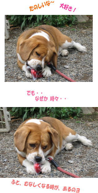 何故か 時々