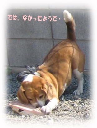 みーちゃんでした