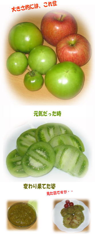 フライドグリーントマト　トマトジャム