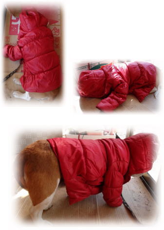 赤ずきんちゃん